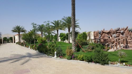 جديد عالم الحدائق