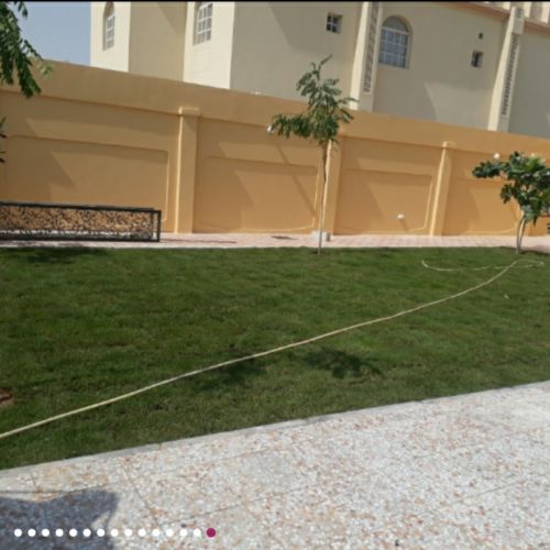 الاهتمام ب الزرع