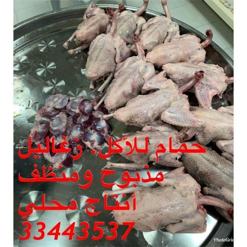 زغاليل للأكل 