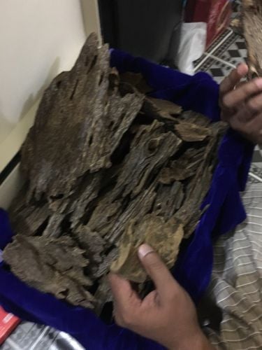 العود ممتاز رخيص