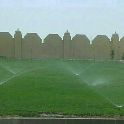 منسق حديق