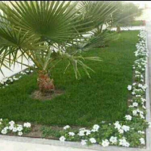 العنايه للزراعه والترتيب