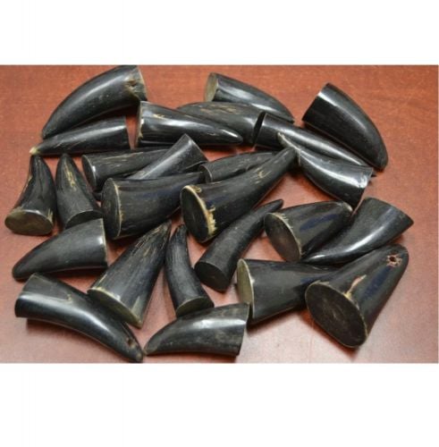 Water bull horns
