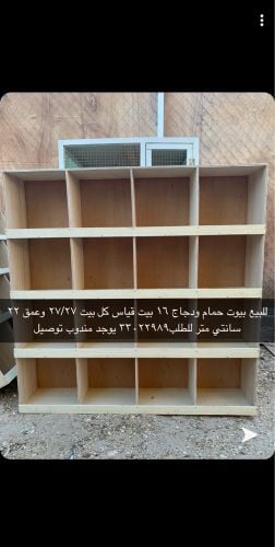 Bird houses for sale
