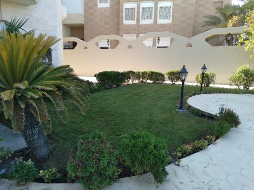 منسق