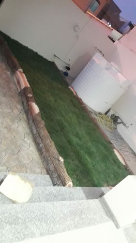 زراعه