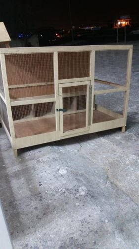 chicken gophers