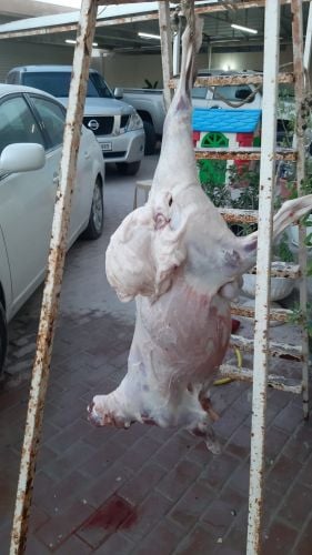 قصاب خرفان وماعز مصري