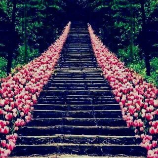 محفظة قران كريم