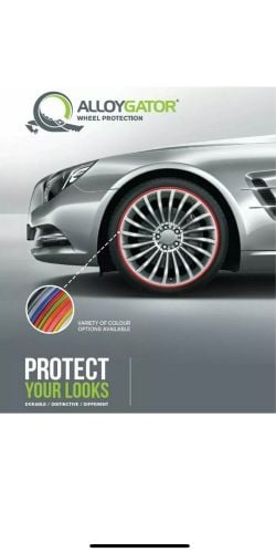 حمايه للرنجات