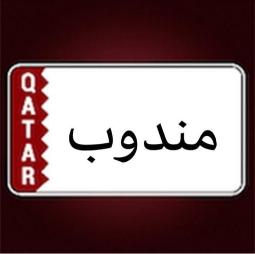 مندوب