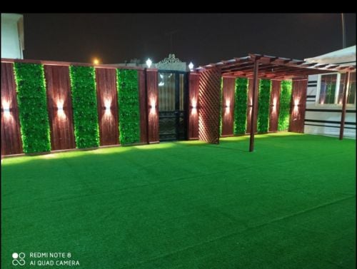 green grass