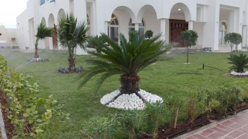 مزارعون ومنسق حداتق