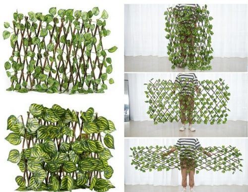 green leaves