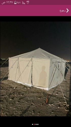 الراية