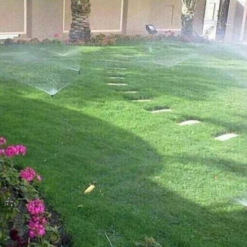 زراعة العشب الأخضر والوراد