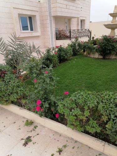 زراعة وديكور