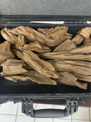 Oud Morocci KingSuper UnderWater