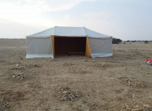 بيتية ٤ب ٧
