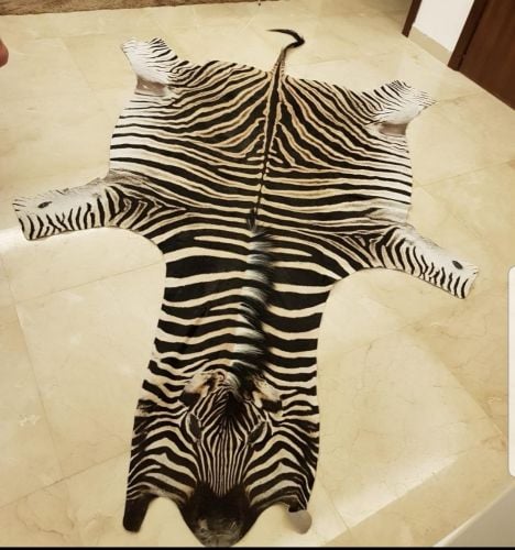 ZEBRA SKIN