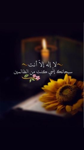 هرمز للمقاولات