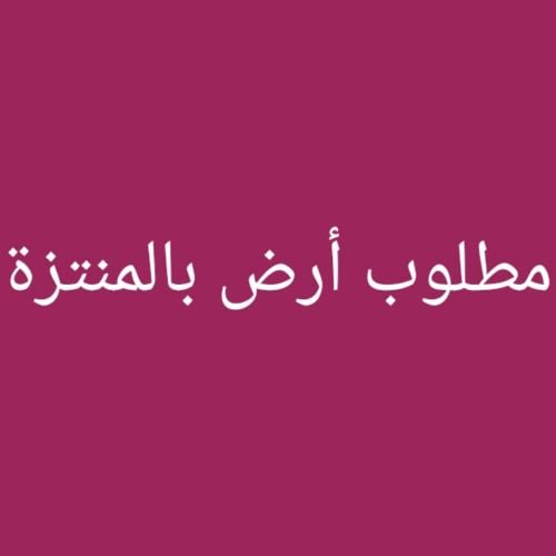 مطلوب أرض بالمنتزة