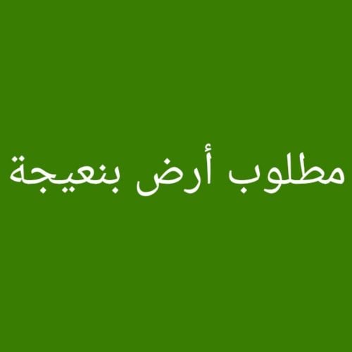 مطلوب أرض بنعيجه
