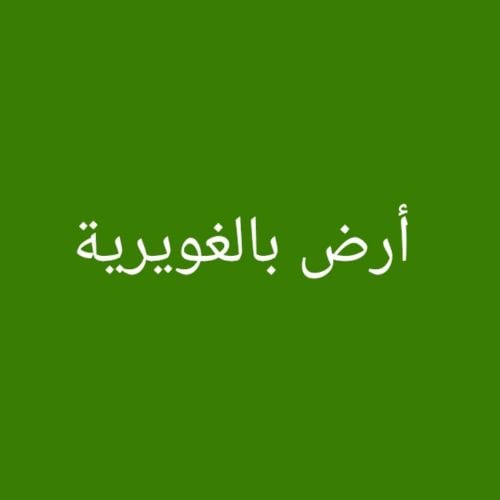 مطلوب أرض بالغويرية