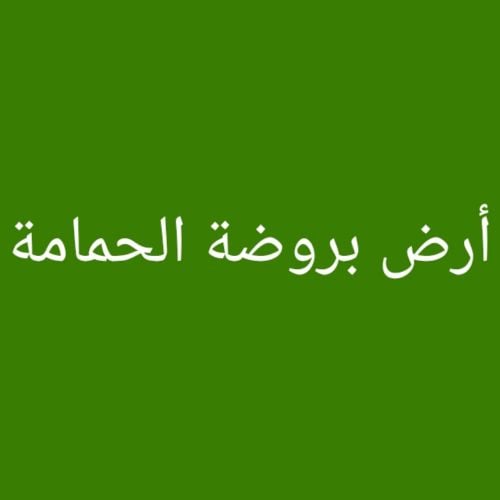 مطلوب أرض بروضة الحمامة