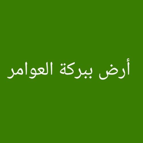 مطلوب أرض ببركة العوامر