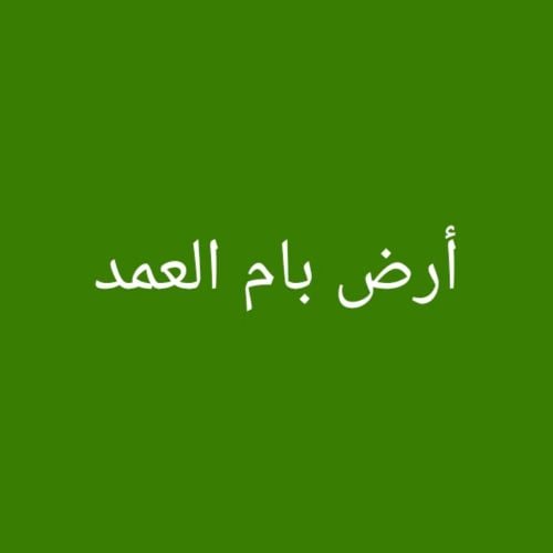 مطلوب أرض بام العمد