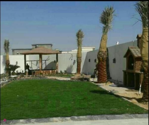 التنسيق المرتب