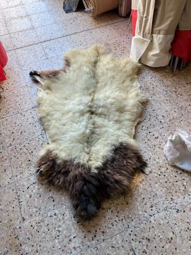 جواعد صوف طبيعي