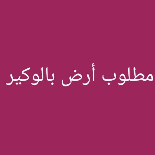 مطلوب أرض بالوكير