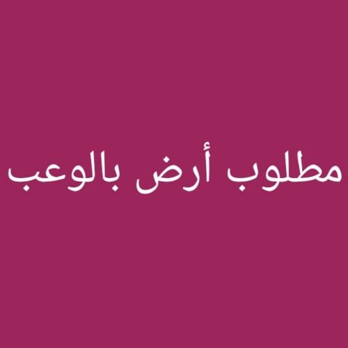 مطلوب أرض بالوعب