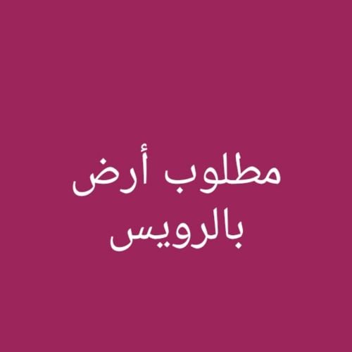 مطلوب أرض بالرويس