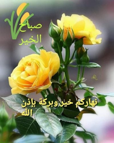 حنان