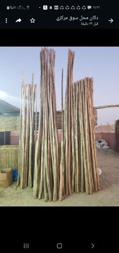 دنشل اطوال ٦متر و٤ متر ممتاز