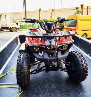 buggy
