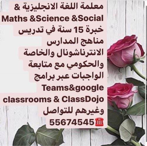 international schools teacher