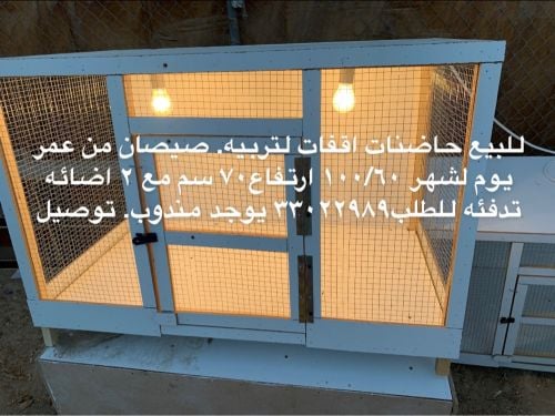  for saleChick incubator