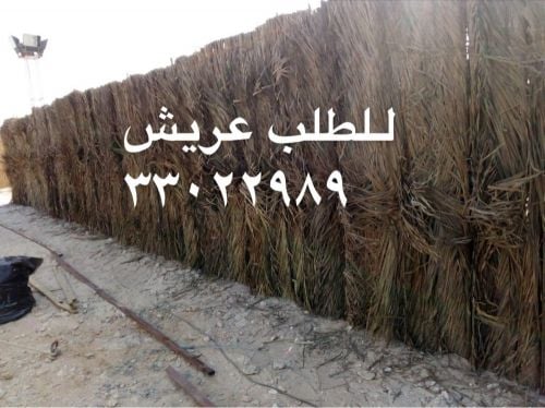 Palm fronds for sale