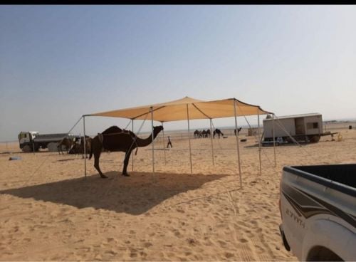 ظلال مظلات للحلال والابل