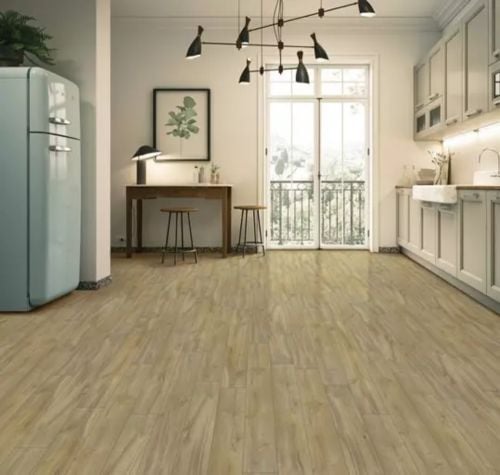 باركيا ، باركيا ضد الماء + باركيا