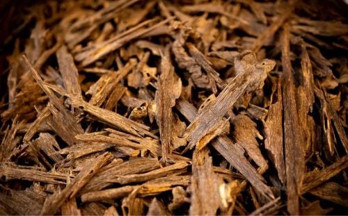 Cheap Oud(Agarwood)
