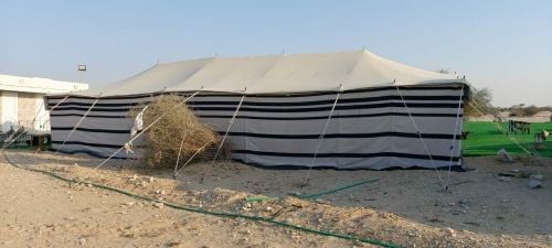 بيوت شعر جمالون وطربال