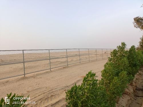 الشبوك / سلامة الحديقة