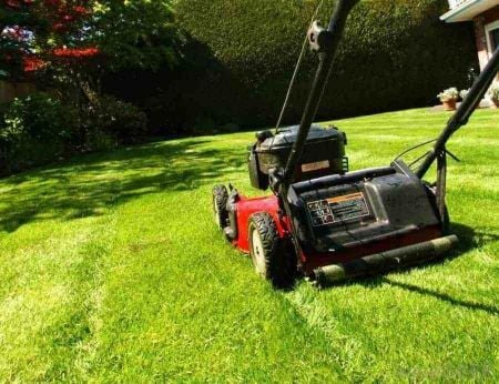Gasoline Lawn Mower