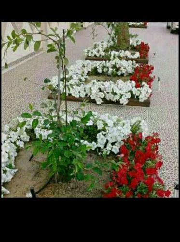 ورود موثميه