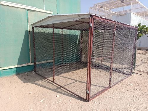 Pigeon cages and other things
